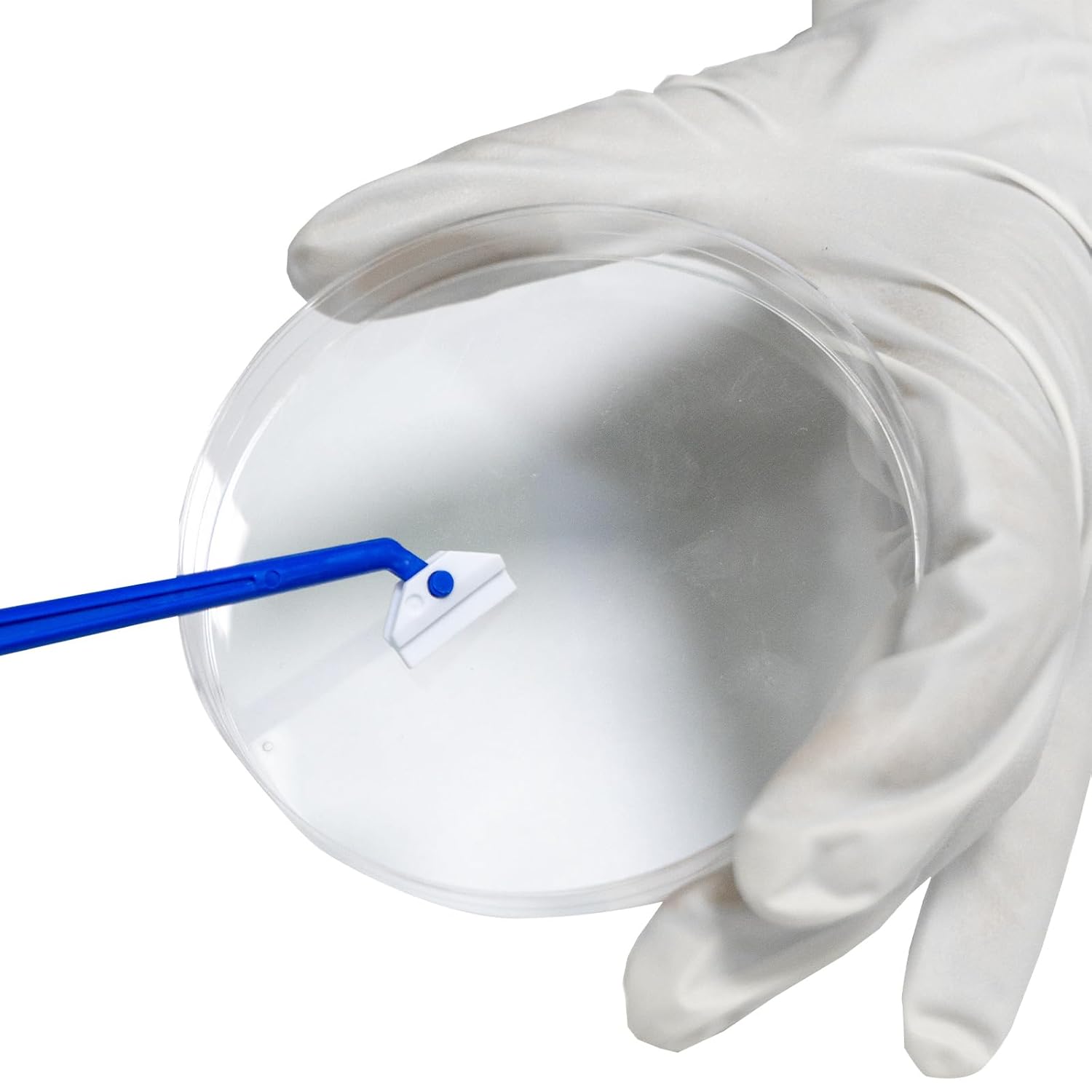 30 Pack 60×15mm Petri Dish and 100PCS Cell Culture Scraper