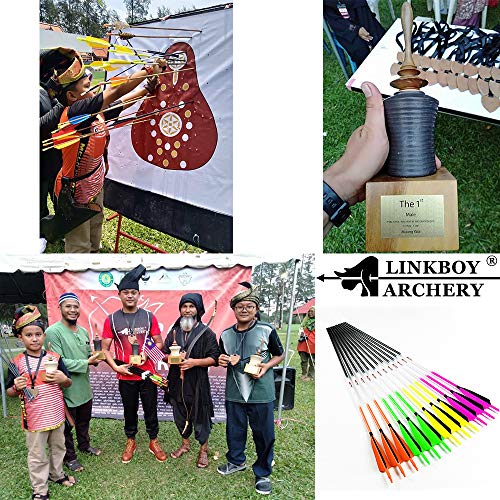 Linkboy Archery Carbon Arrows Hunting Practice Target Arrows Fluorescent with Removable Tip for Compound Recurve Long Bows, Spine 250 300 340 400 500 600 700 800, Pack of 6/12PCS