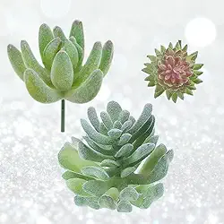 Plantas suculentas artificiais, pacote com 3 pequenas plantas falsas, suculentas, sem vaso, para decoração de jardim doméstico (E)