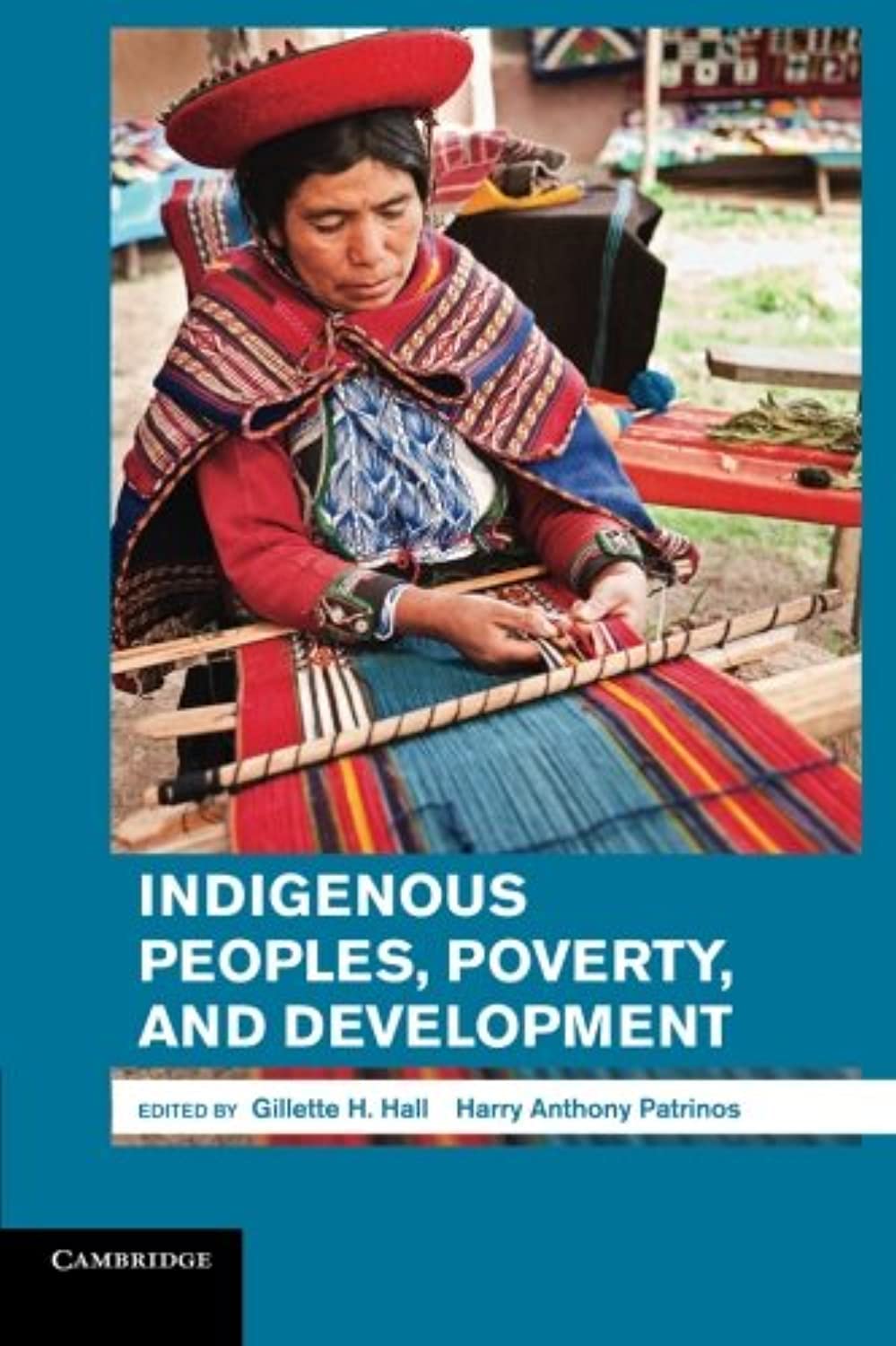 Cambridge University Press Indigenous Peoples, Poverty, and Development