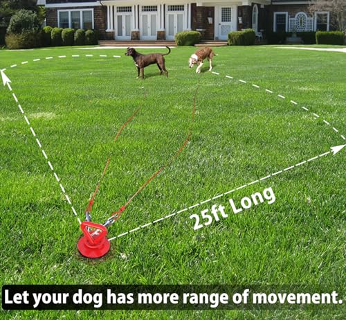 25 ft Dog Tie Out Cable and Stake - Dog Yard Leash and Stake for Medium to Large Dogs Up to 125 lbs -Spiral Blade Dog Stake for Yard Beach Lawn Outside