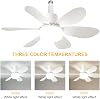 Socket Fan Light with Remote Control Ceiling Fan with Light (52cm Round Blades) (D) [Energy Class A]