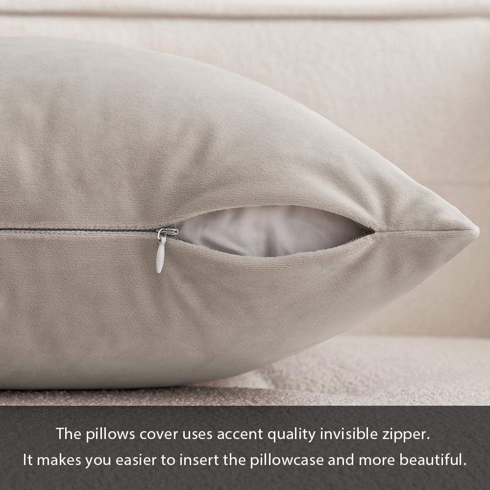 MIULEE Federe Cuscini Arredo Divano Copricuscini Soggiorno Federe Arredamento Casa Moderni Elegante Morbido Resistente in Velluto con la Cerniera Invisibile 2 Pezzi 65X65 CM Cuore di Legno