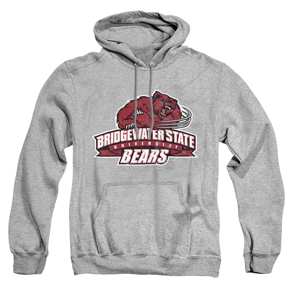 LOGOVISION Official Collegiate Distressed Primary Logo Adult Pullover Hoodie Collection — view 343