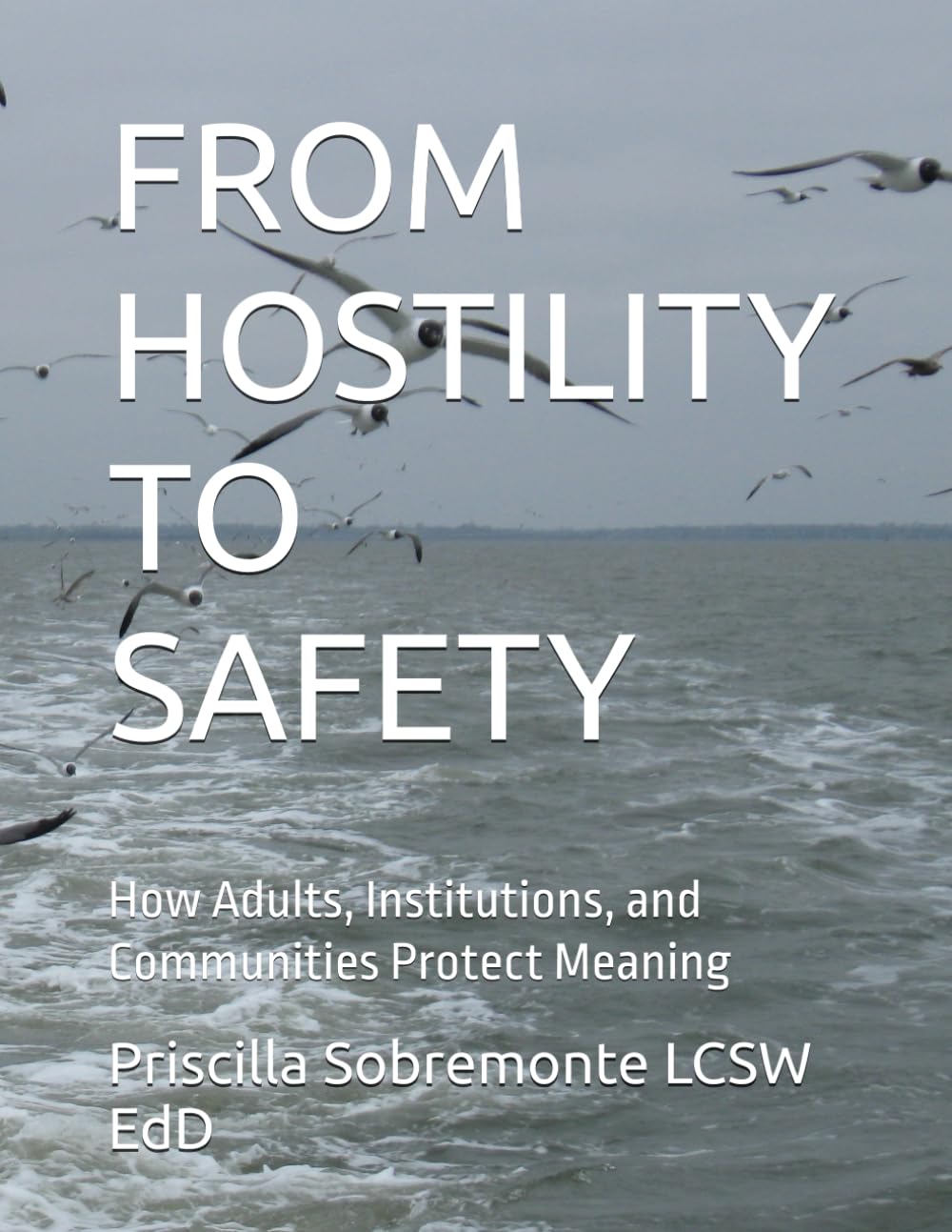 FROM HOSTILITY TO SAFETY: How Adults, Institutions, and Communities Protect Meaning (Emotionally Safe Living Workbook)