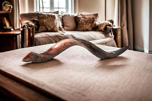 Miniatura 17 de Yaliland - Auténtico cuerno de Shofar yemenita de 28 a 30 pulgadas (medio pulido, mitad natural) por Yaliland con spray y guía antiolor