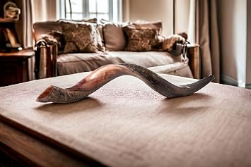 Extra Large Authentic Yemenite Kudu Shofar - 40-42 Half Polished, Half Natural Finish - Includes Anti-Odor Spray, Carrying Bag & Blowing Guide by Yaliland