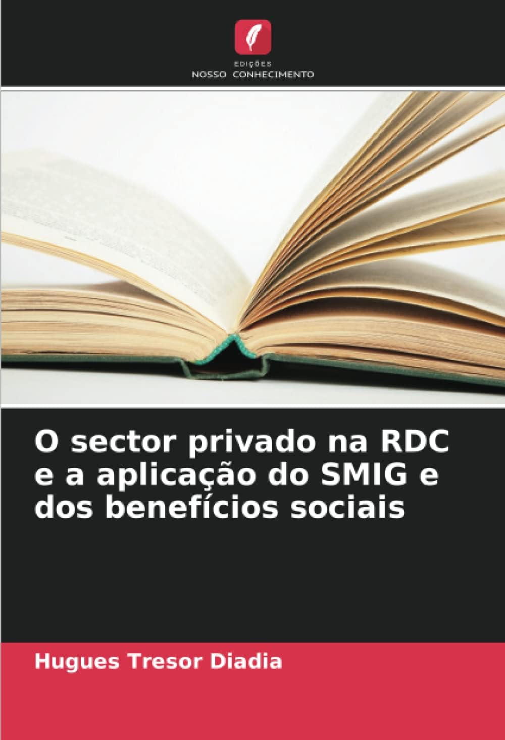 O sector privado na RDC e a aplicação do SMIG e dos benefícios sociais