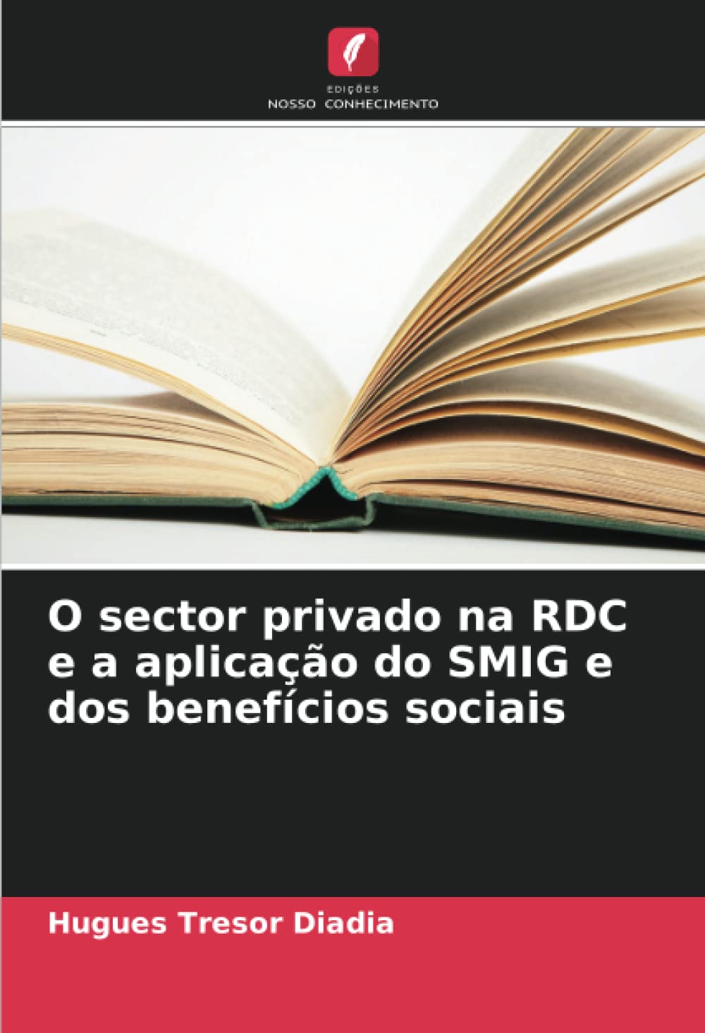 O sector privado na RDC e a aplicação do SMIG e dos benefícios sociais