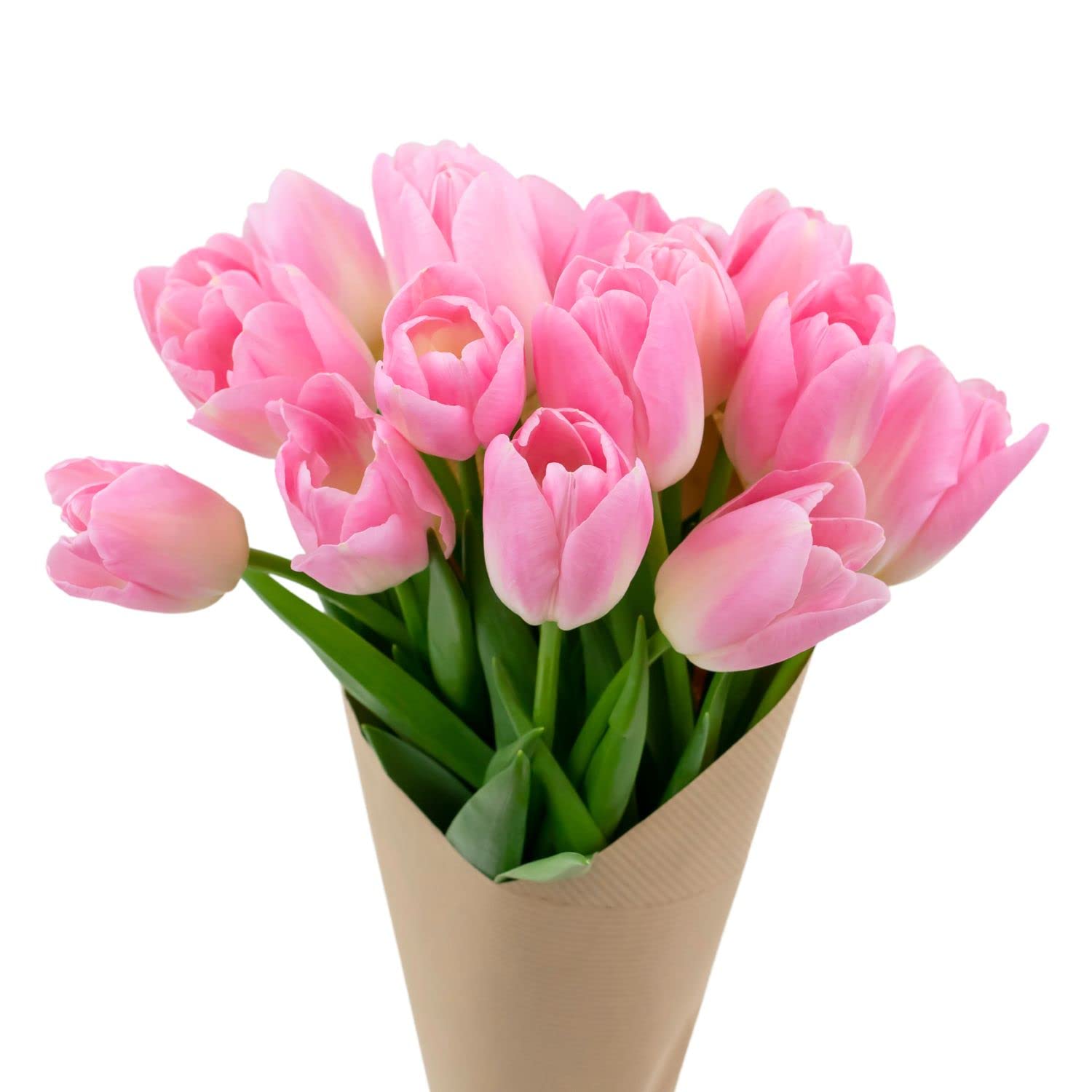 Stargazer Barn Pretty in Pink Tulips Fresh Flowers Bouquet - Overnight Prime Delivery for Fast Arrival, Fresh Cut Flowers for Longer Life - Bouquet of Flowers for Mother's Day or Birthday - 15 Stems