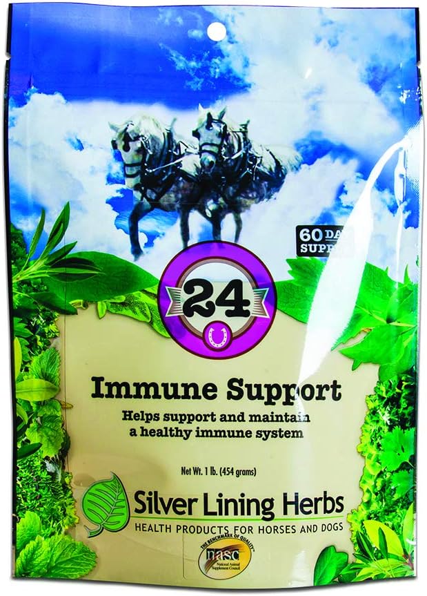 Silver Lining Herbs, 24 Immune Support, 60 Servings