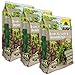 Produktbild Neudorff Azet Baum-Strauch- u. HeckenDünger 3x5 kg