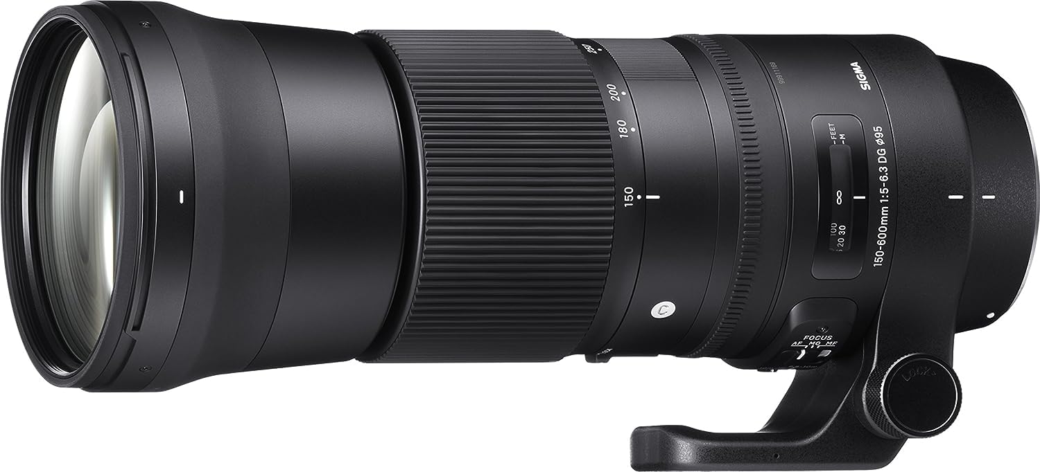 SIGMA 150-600mm F5-6.3 DG OS HSM ニコンF Sigma Lente contemporânea 150-600 mm F/5-6.3 DG OS HSM para lente