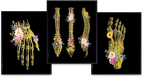 Hand, Foot, Spine Medical Anatomy Wall Art Print - Unique Flower Skeleton - Original Gothic Home Decor for Dr Office - Gift for Doctor, Physician,