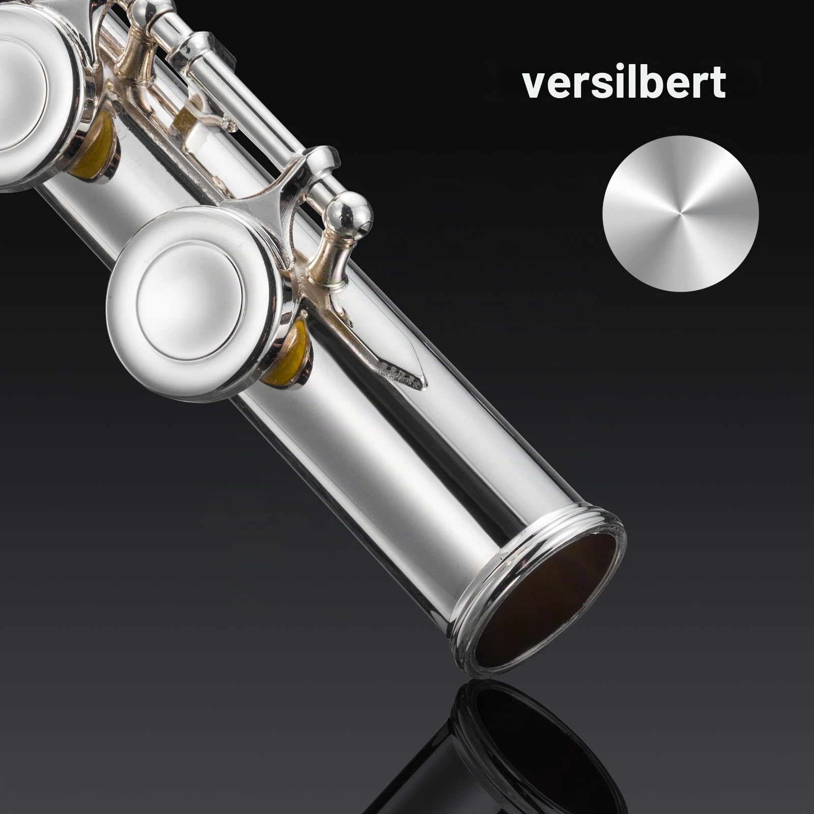 POGOLAB Flöte, Offene Loch, C Flute mit geteiltem E&Offset-G, C Fußstück, versilberte Flöte mit Flötentasche/Flötenreinigungsset/Sondenstab/Handschuhe/Fett, für fortgeschrittene Spieler