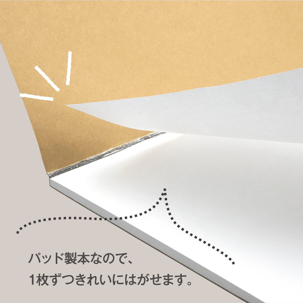 Amazon.co.jp: マルマン(maruman) スケッチブック A4 クロッキー