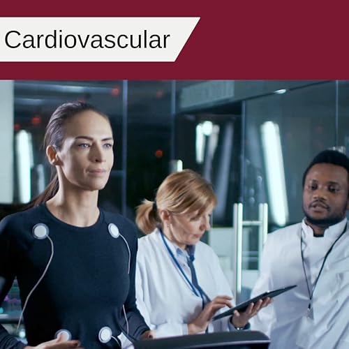 Miniatura 8 de Mag Glycinate 510 - Glicinato de magnesio - Suplemento nutricional para el estrés, la salud cardíaca, los nervios, los músculos, la energía y el