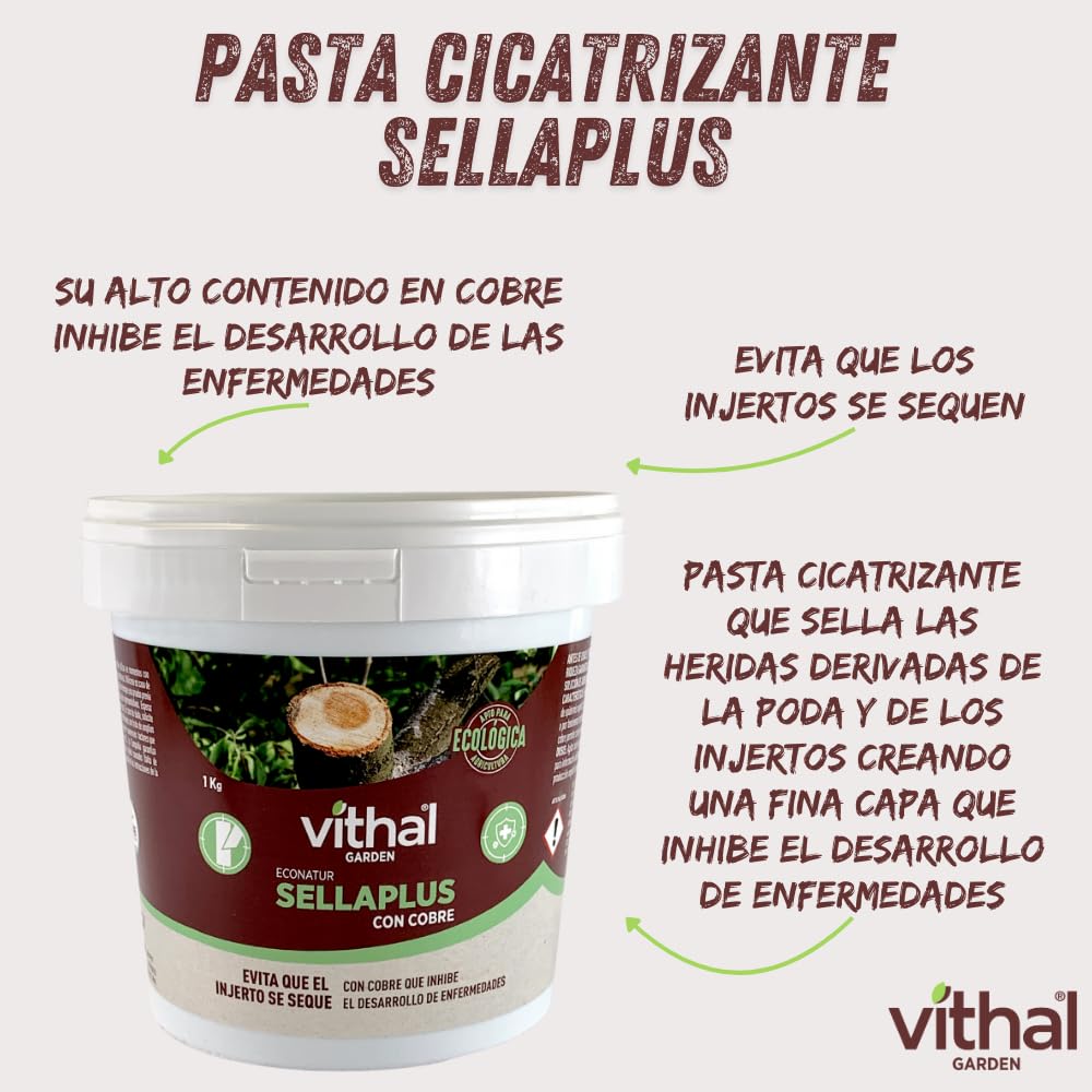 VITHAL Pasta Cicatrizante Sellaplus 1kg - Protege y Cicatriza Árboles Frutales y Arbustos Tras Poda e Injertos, Protección Contra Heridas y Daños Climáticos
