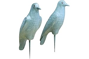 Flambeau Outdoors Hard Body Crow Decoys: The Ultimate Crow Hunting Advantage