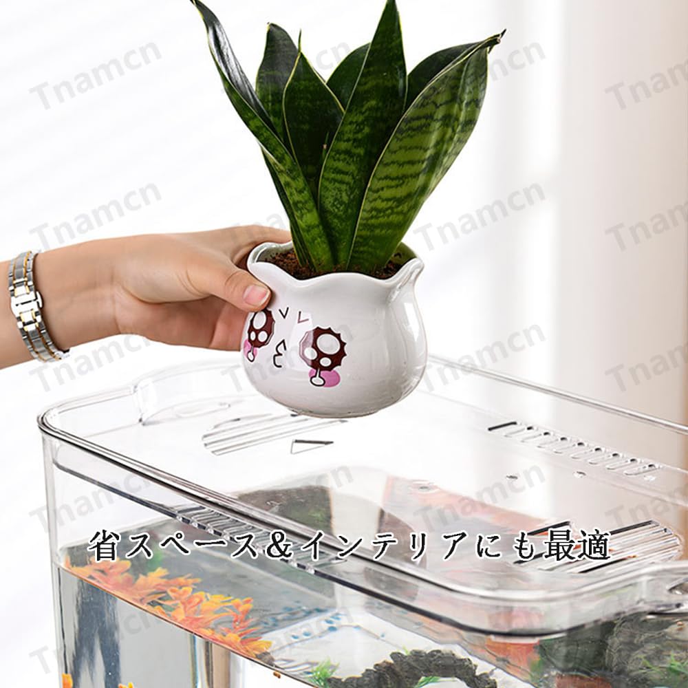 Amazon.co.jp: 特大水槽、プラスチック製、蓋付き、透明、高強度