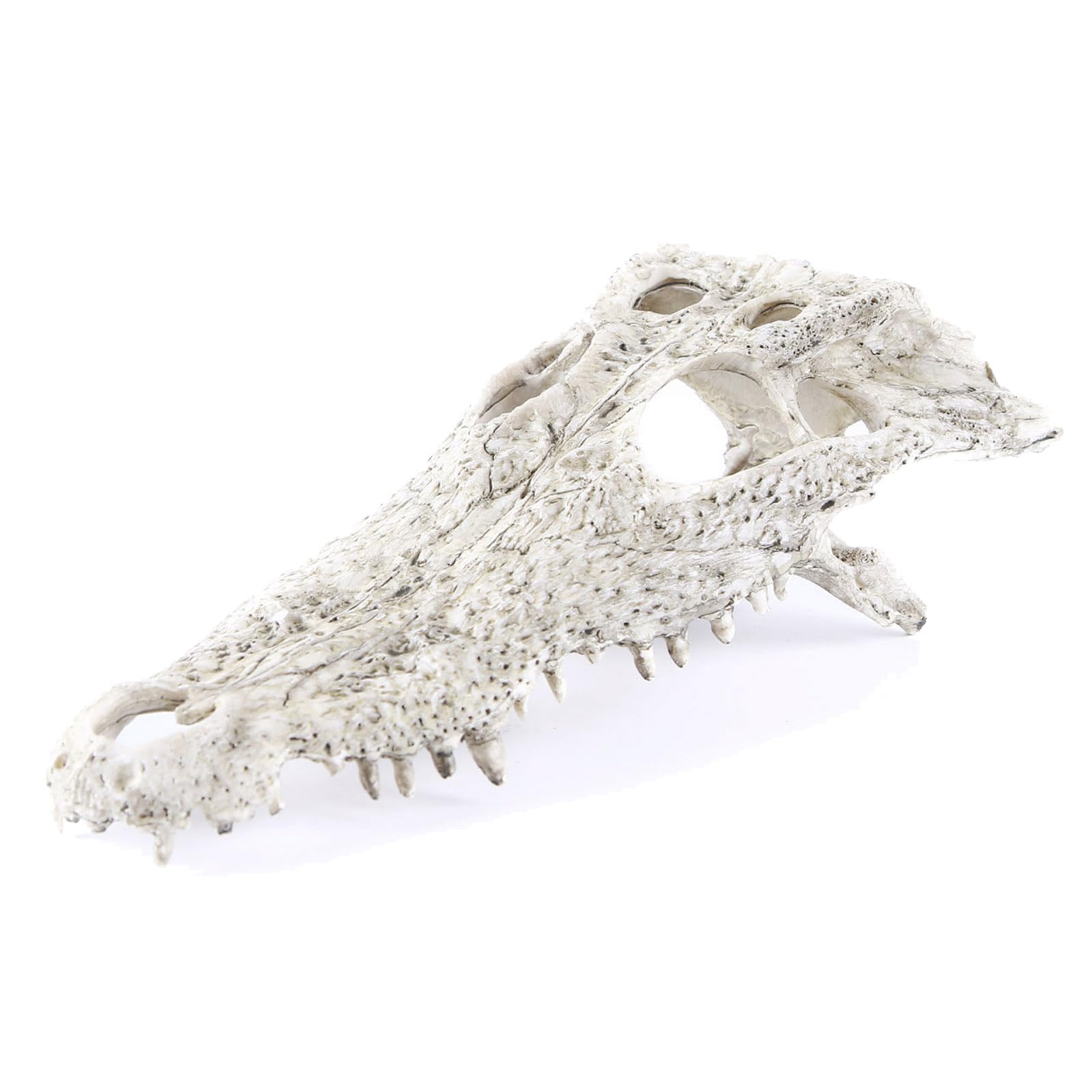 Kocris Casa Animal Skull Fish Aquarium Hideout Decorations Cave Dinosaur Reptile Ornament Halloween Décor for Terrarium Large Betta Decor Bones
