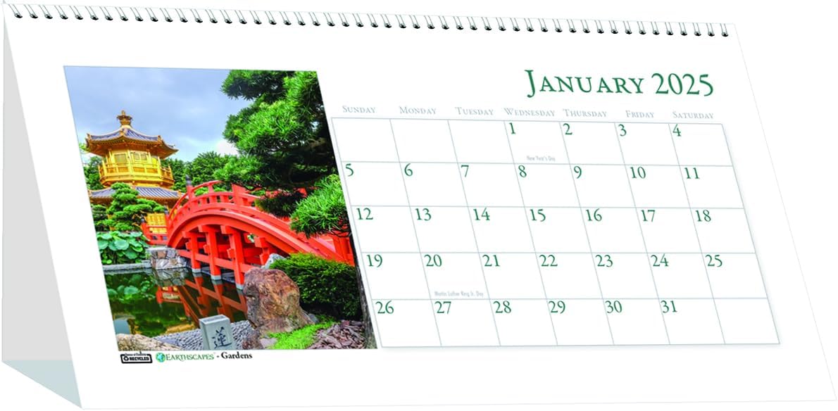 2025 House of Doolittle Earthscapes Puppies 8.5-inch x 4.25-inch Monthly Desk Calendar (3659-25)