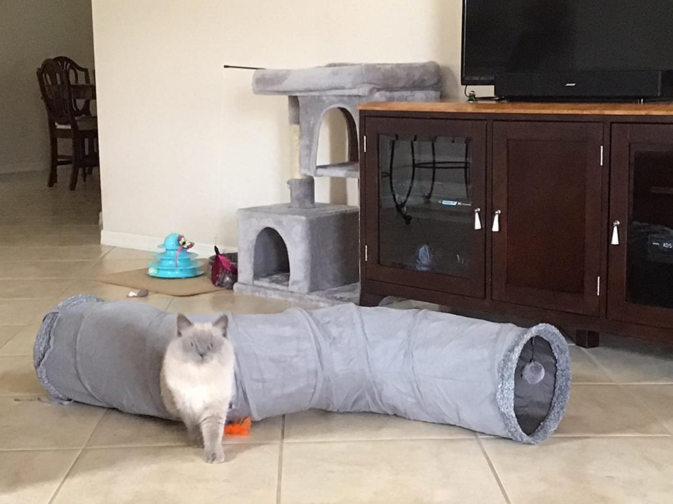 Ownpets Túnel para Gatos, Juguetes para Gatos Tunel, Túneles en Forma de S, Extensibles y Plegables, Túneles para Gatos y Tubos para Interiores, Gatos, Cachorros, Conejos y Gatitos, 120 x 25 cm