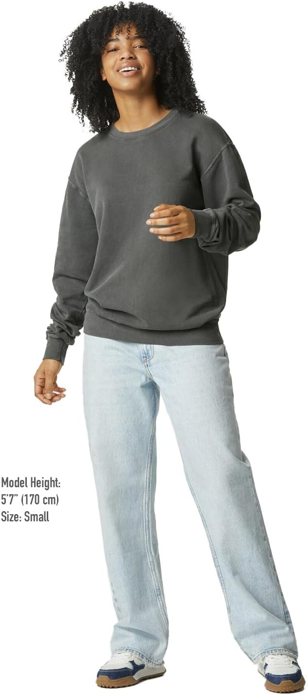 Comfort Colors unisex-adult Lightweight Cotton Crewneck Sweatshirt, Style G1466 - Image 4