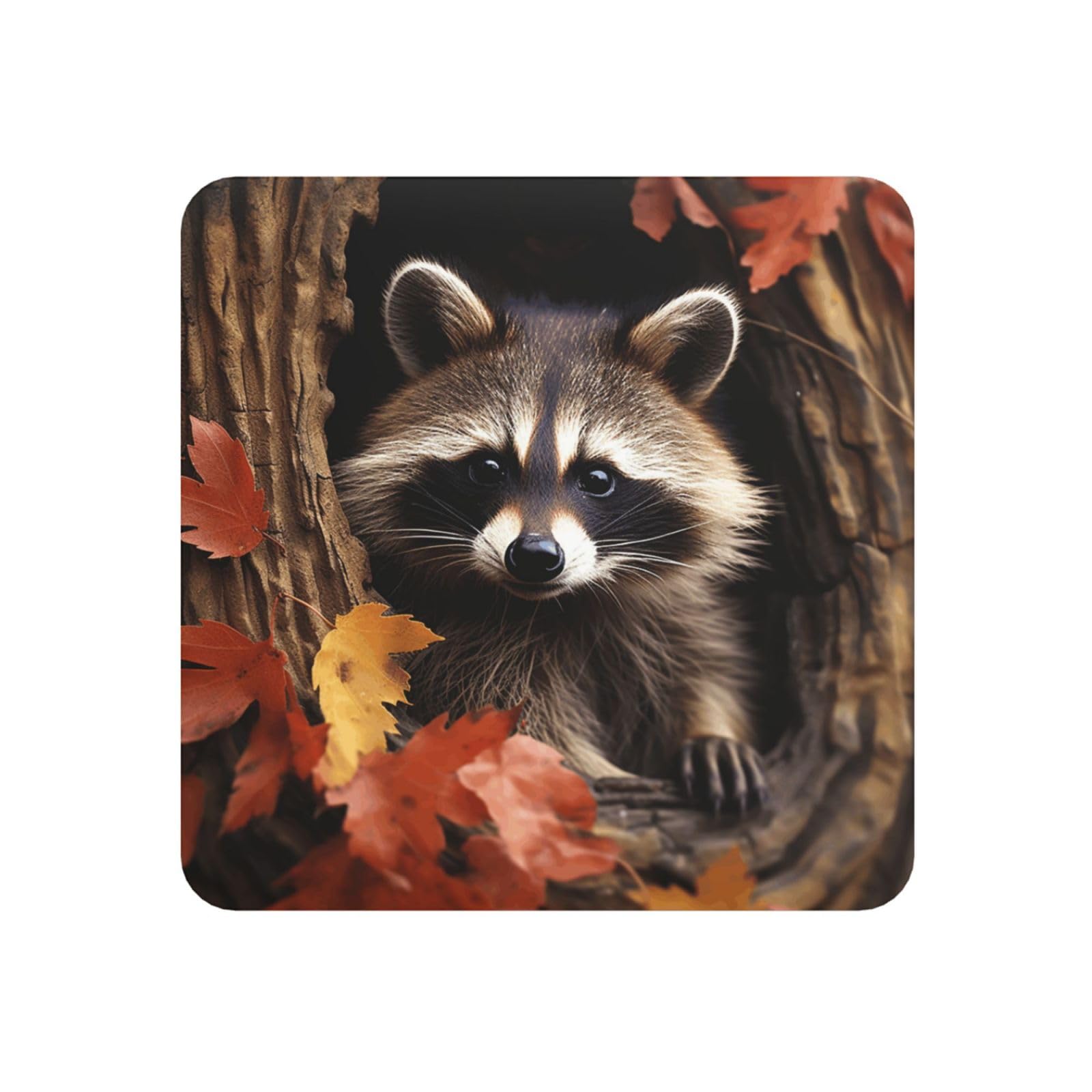 Fodpand Square Raccoon In The Fall Tree Hole Fridge Magnets, Strong Small Refrigerator Magnets Decorative Magnets For Kitchen Fridge Office Locker - Funny Magnetic Stickers Birthday Gifts