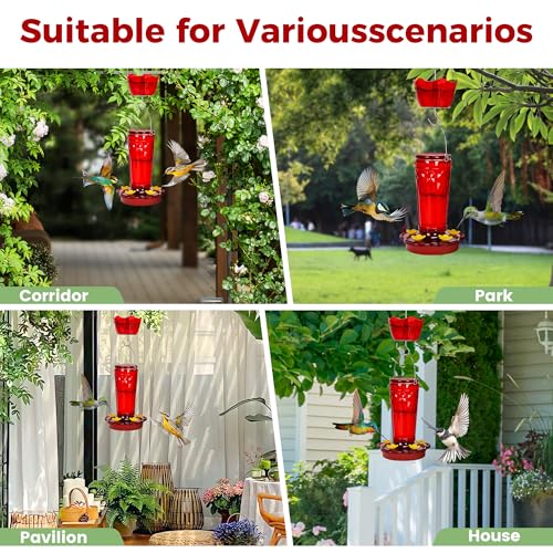 Image of 2 Pack Glass Hummingbird feeders for Outdoors 14Ounces，5 Feeding Ports Hummingbird Feeder,Wide Mouth for Easy Filling /Cleaning，Hanging for Garden Backyard Decor, Includes Ant Moat (Red，2Pack)