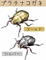 ウォルフプラチナコガネ ウォルフプラチナコガネ？ コロンビア産 - メルカリ