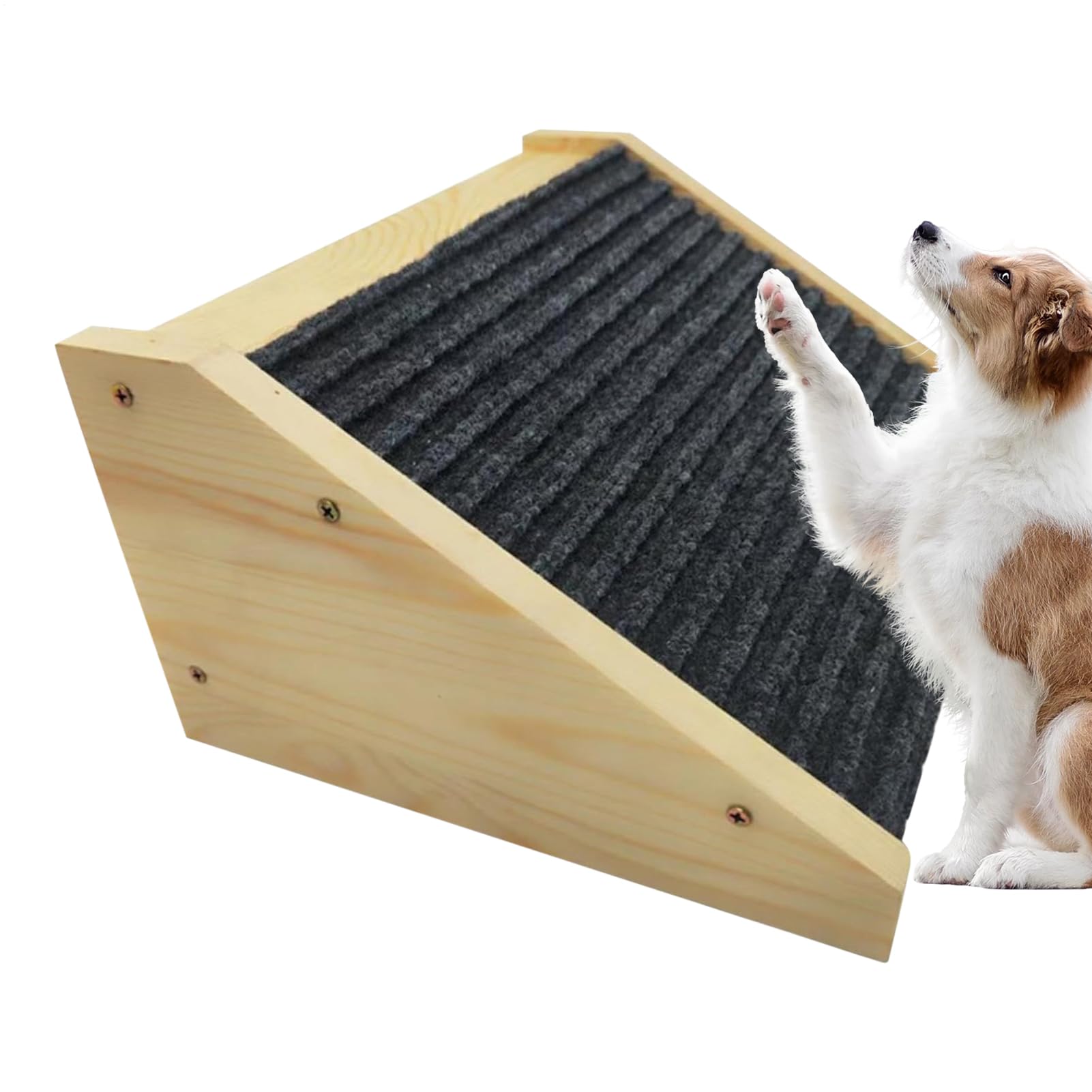 Pet Ramp,Leichte Steighilfe Für Hunde Ins Bett - Hilfe für verletzte und ältere Haustiere und Katzen mit rutschfesten Stufen für hohe Plätze im Haus für Bett, Sofa