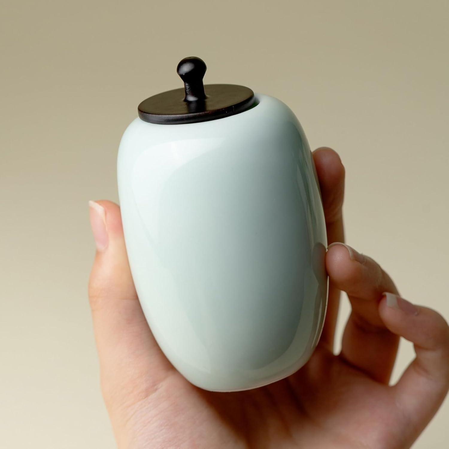 Ceramics Tea Canister, 120ml 4.0oz, Household Portable Storage Jar Tea Ceremony Accessories