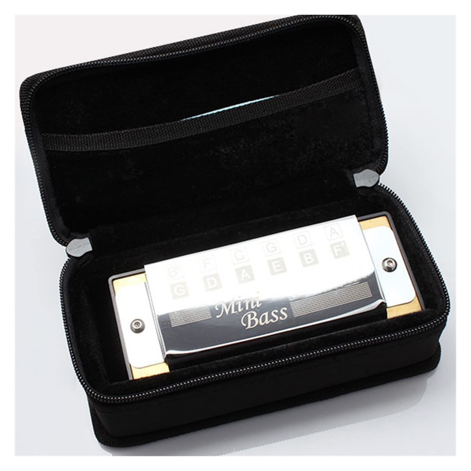 Mini Bass Harmonica Pocket Bass 12 Fori Bocca Organo Strumenti Musicali per Principianti Armonica per Principianti