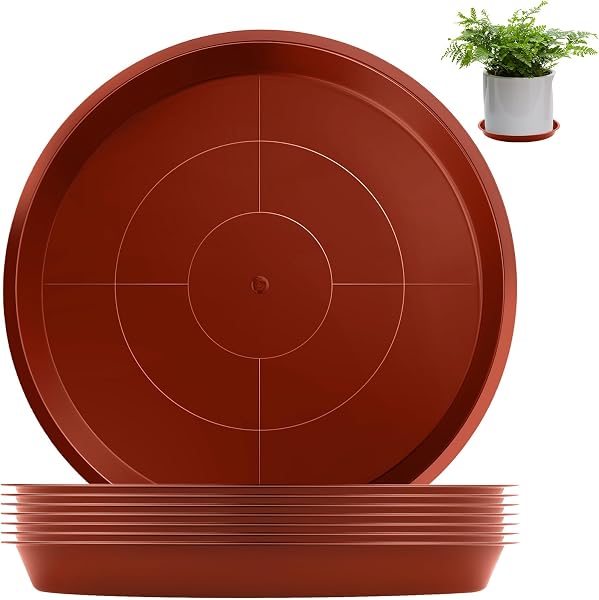 sturiz platos para macetas 12 cm, 8 piezas, marrón
