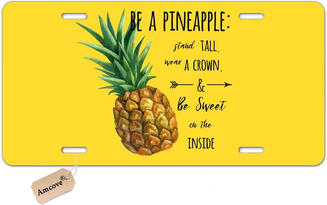 Amcove License Plate Cover Be A Stand Depot Tall Crow Wear Pineapple