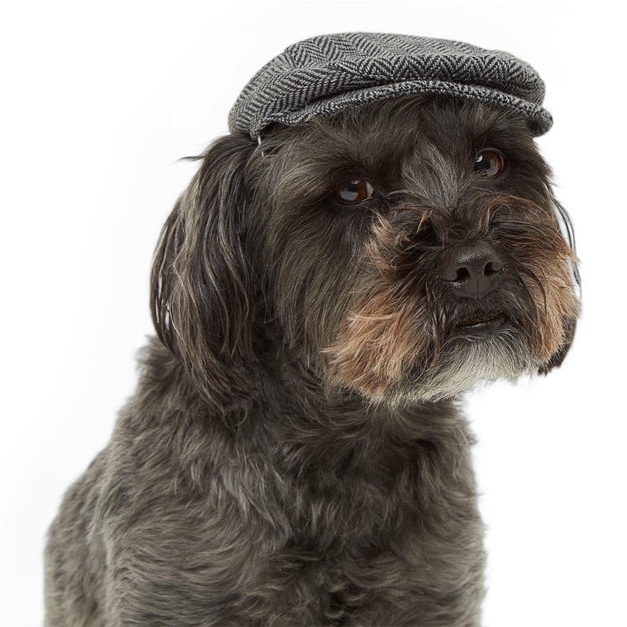 SHOPZO Tweed Dog Newsboy Hat Green Medium/Large, Elasticated chin strap, Herringbone design, Machine Washable - stay fresh after muddy walks