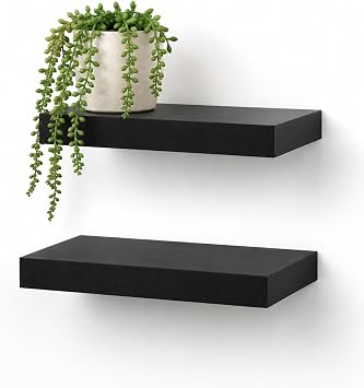 WELLAND Set of 2 Floating Shelves Wall Mounted Shelf, for Home Decor with 8" Deep Black, 10 inch