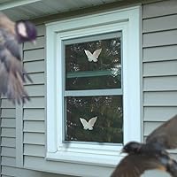 Vista 7 de Calcomanías anticolisión para ventanas de pájaros, calcomanías de ventana de vidrio para golpes de pájaros, evita que los pájaros golpeen ventanas