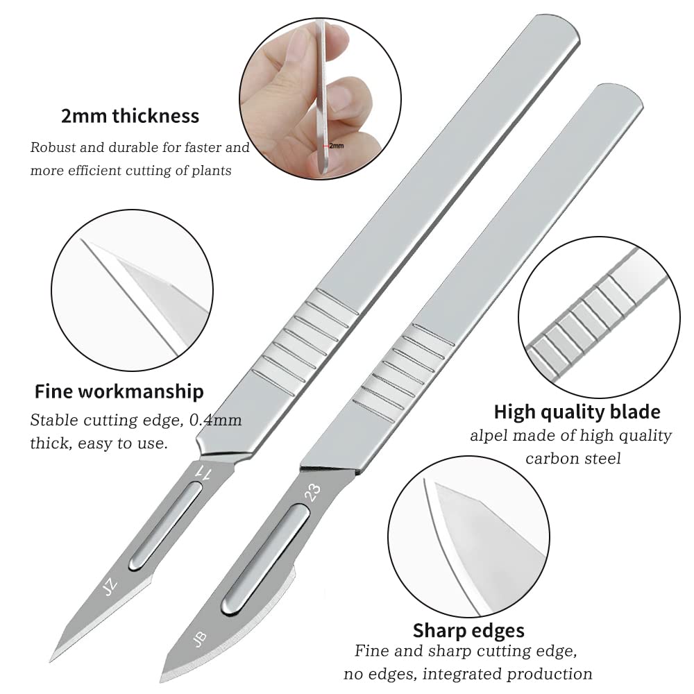 Coltello da Innesto, Coltello Artigianale, Coltello da Intaglio della Zucca, bisturi Chirurgico, Coltello da Innesto Giardino Comprese 20 Lame di Ricambio