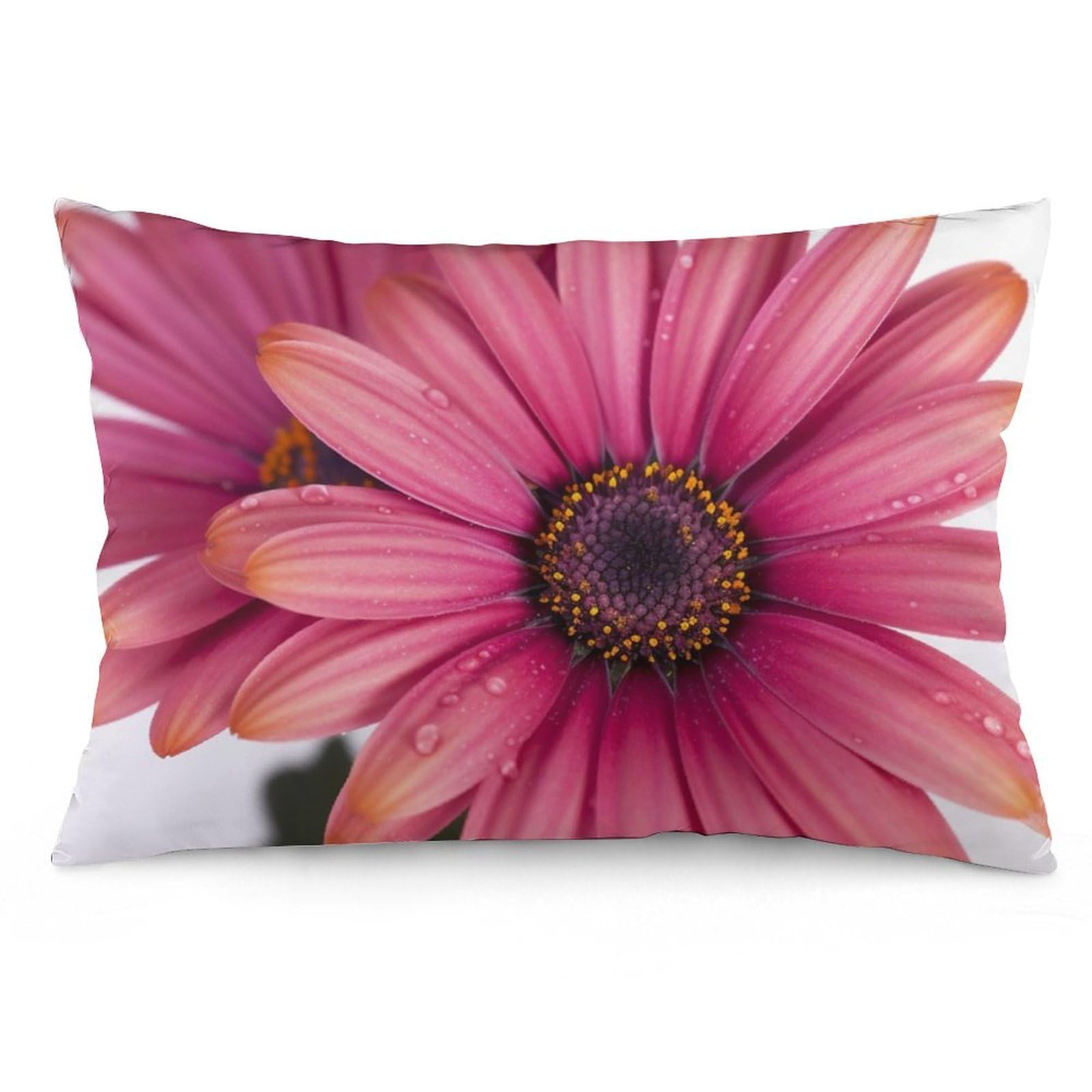 NTVOWPZO 2 Pack Decoration Throw Pillow Covers 20"x30" Pillowcases Covers Daisy Flower Pillowcases Modern Farmhouse Home Decor Sofa Cushions Covers for Couch Bed Living Room