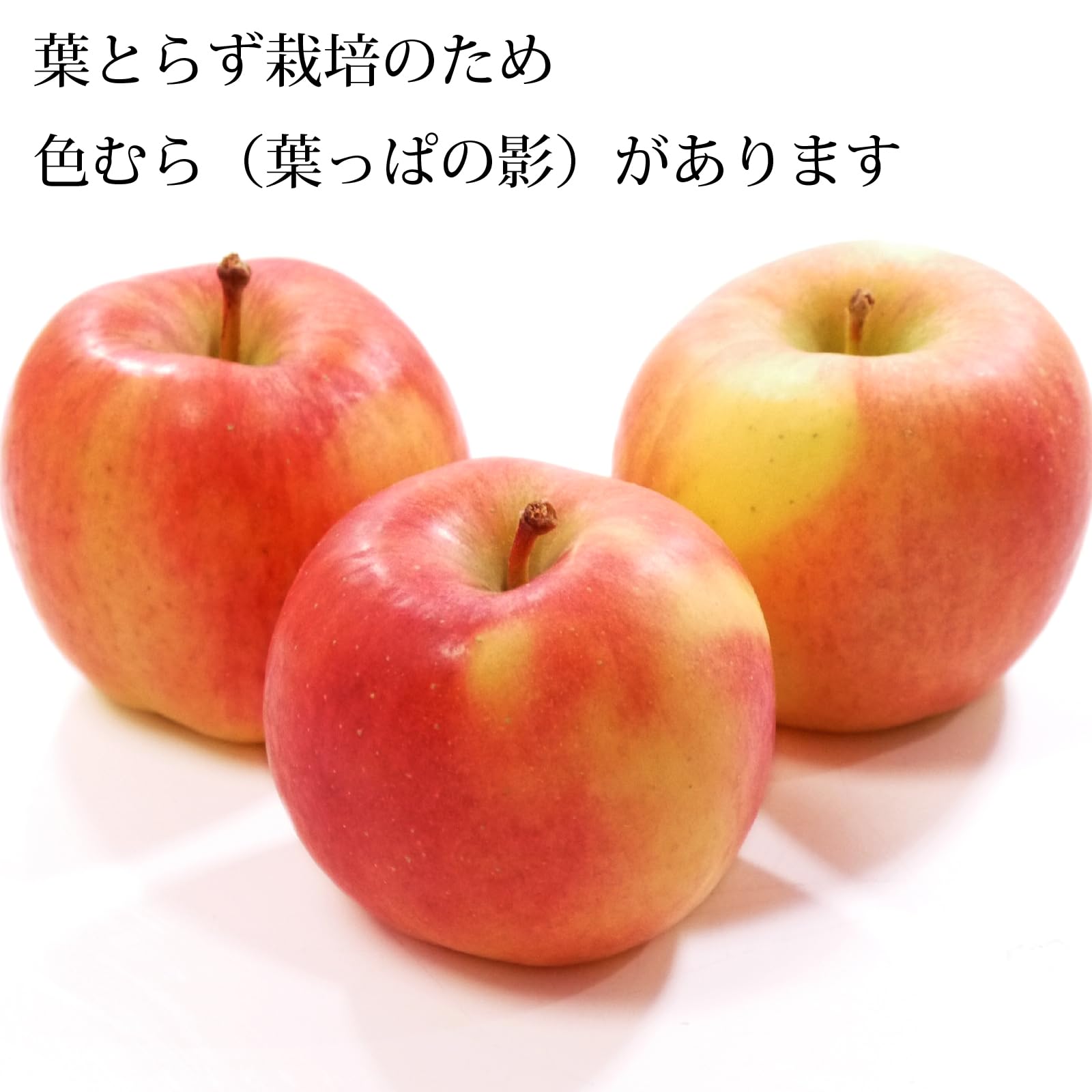 71 青森りんご 葉とらず こうとく(高徳) 5kg