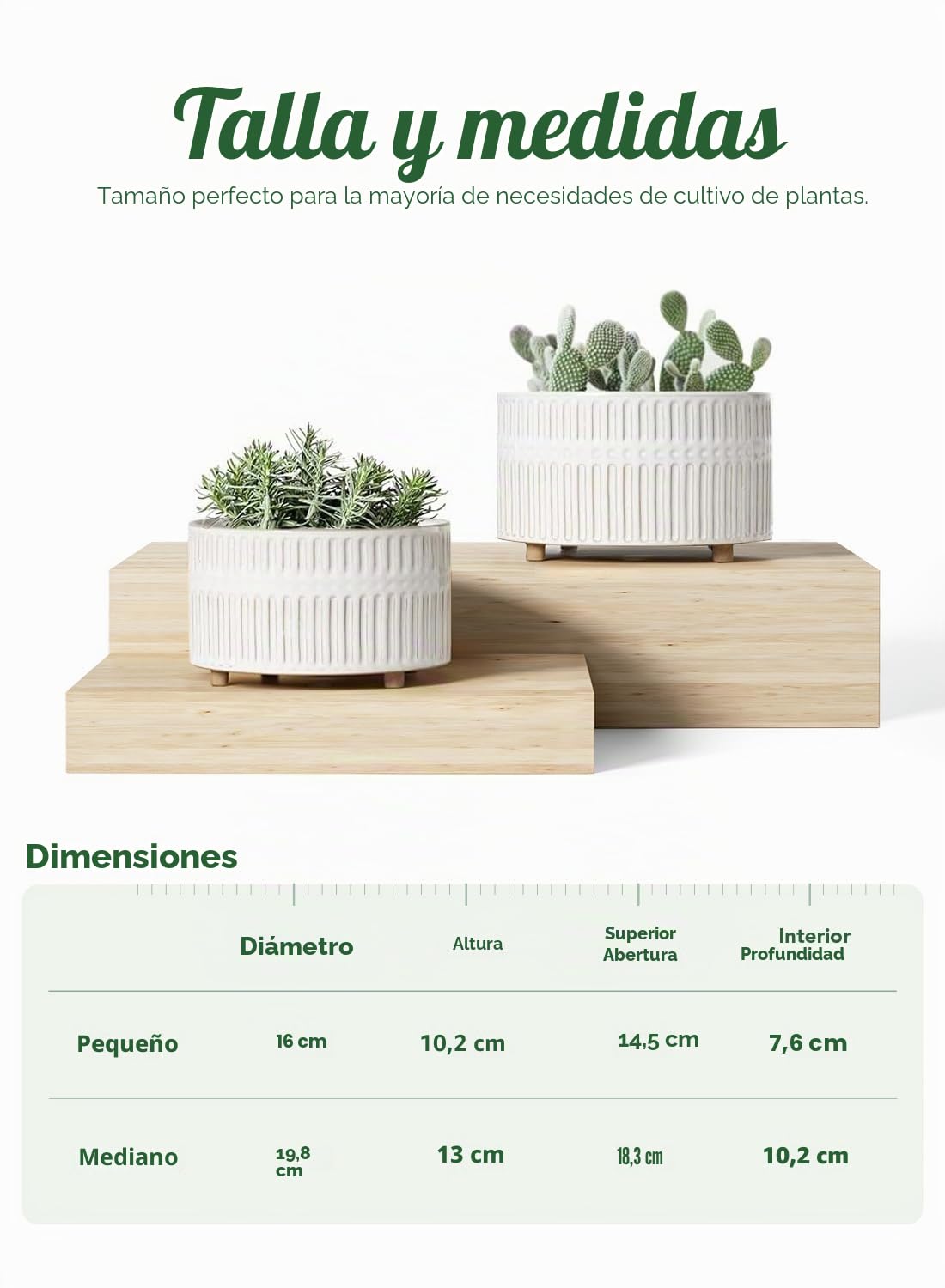 LE TAUCI Macetas para Suculentas, Maceta de Cerámica de Interior de 16,5 + 20 cm con Agujero de Drenaje, Maceta Decorativa Redonda Moderna, Regalos para Mamá, Juego de 2, Esmalte Reactivo Blanco