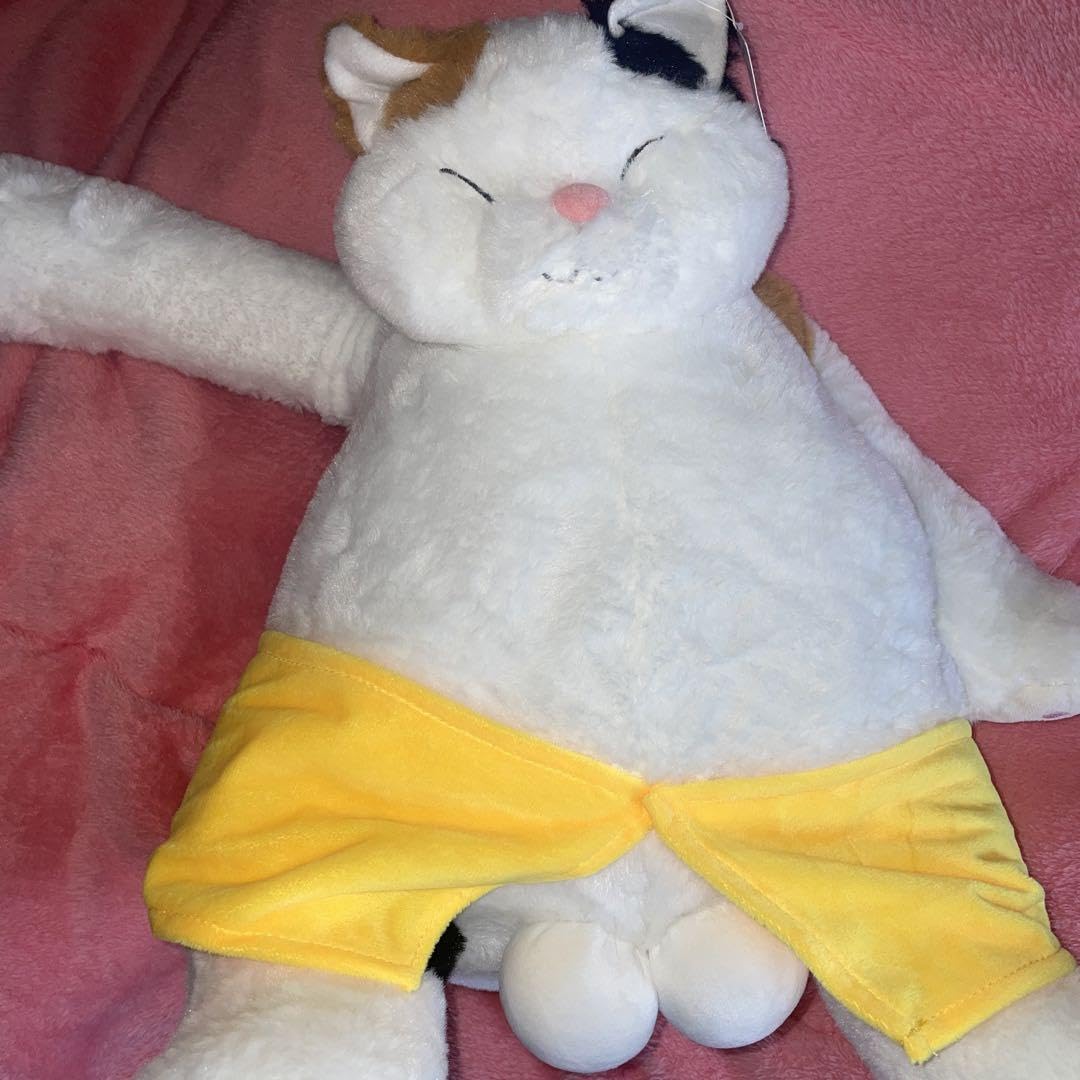 Amazon.co.jp: にゃんたま バスsle ぬいぐるみ 三毛猫 : おもちゃ