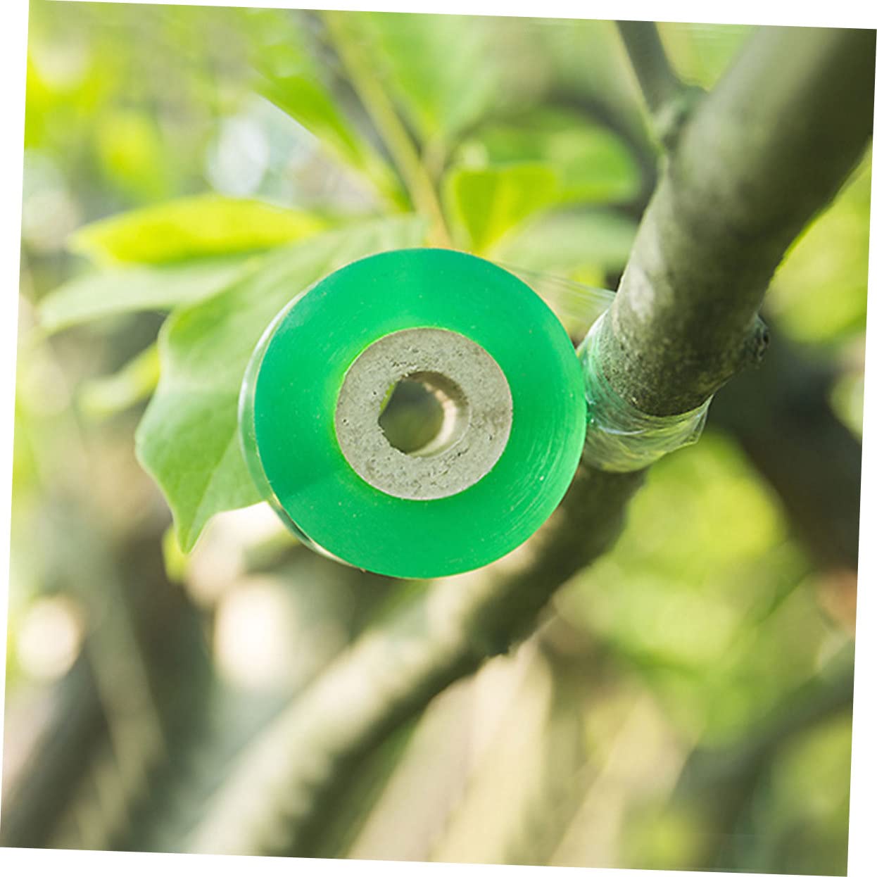 ibasenice 4rollen Floristenband Grün Selbstklebend Breit Flexibel Für Veredelung Und Pfropfen Von Obstbäumen Und Pflanzen