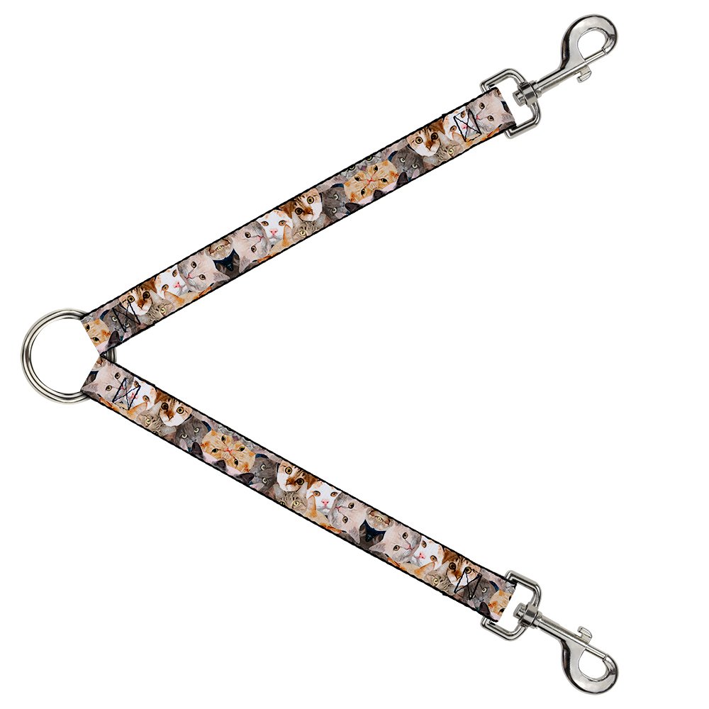 Correa para gatos que evita tirones y escapes con ancho de 2.5cm