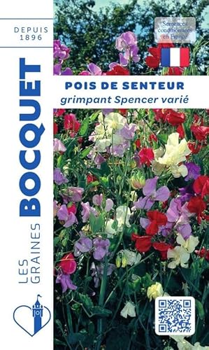 Sachet de graines de Pois de senteur grimpant Spencer varié - 6 g - fleur annuelle - LES GRAINES BOCQUET