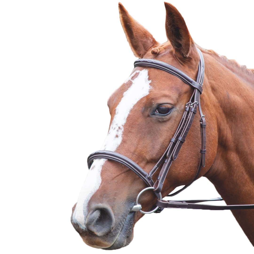 Shires Avignon Padded Raised Leather Noseband (Pony, Havana)