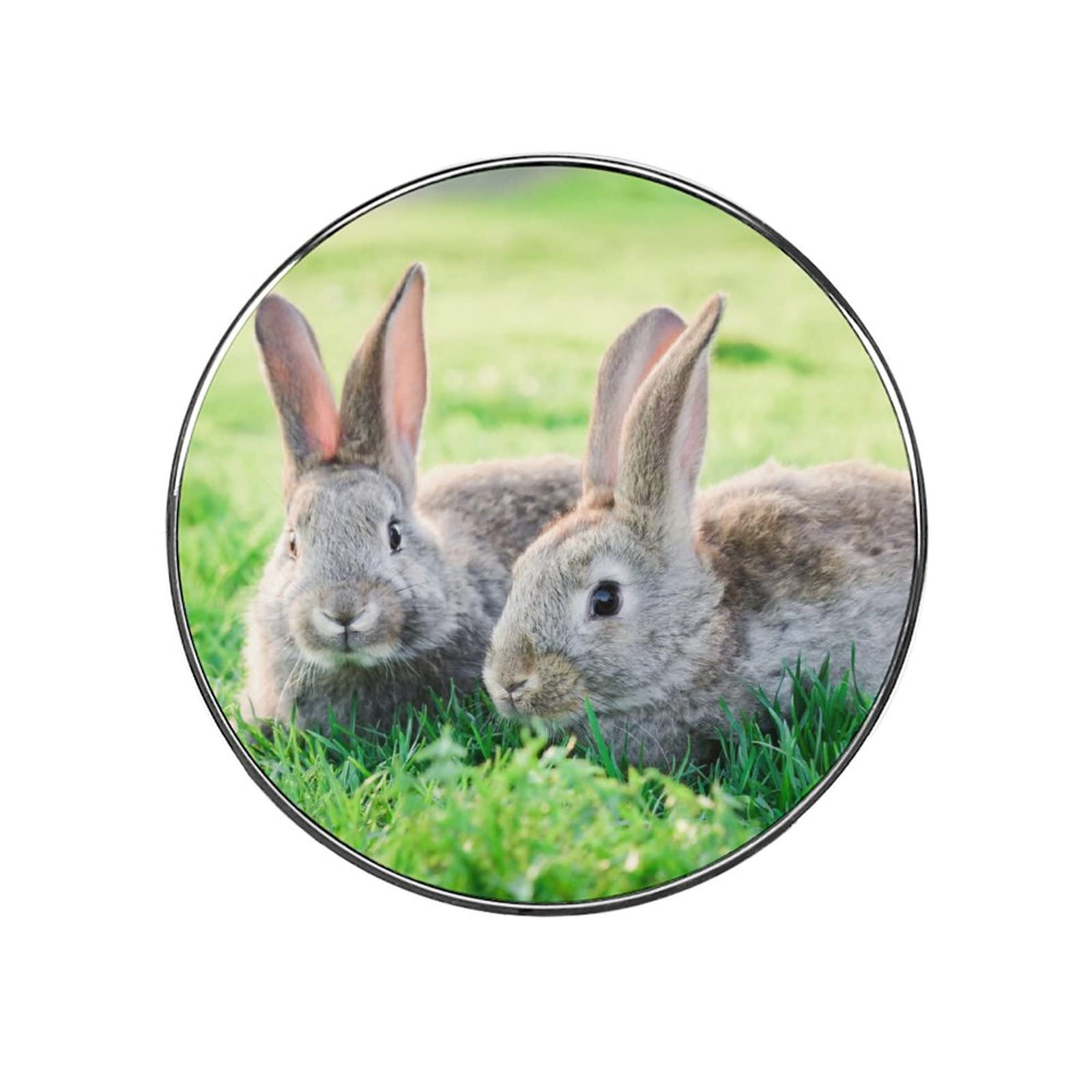 Rabbit Magnets For Fridge Kitchen Decoration For Refrigerators Whiteboards
