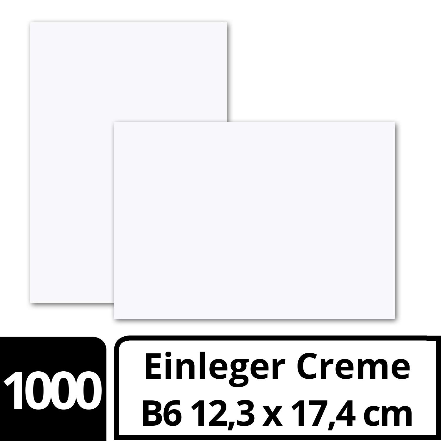 Gustav Neuser Lot de 1000 feuilles de papier pour cartes pliables B6 Blanc 123 x 174 mm Sans pli Papier mat de qualité supérieure